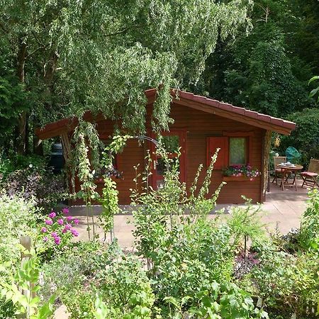 Ferienhaus Natura Neuruppin Oda fotoğraf