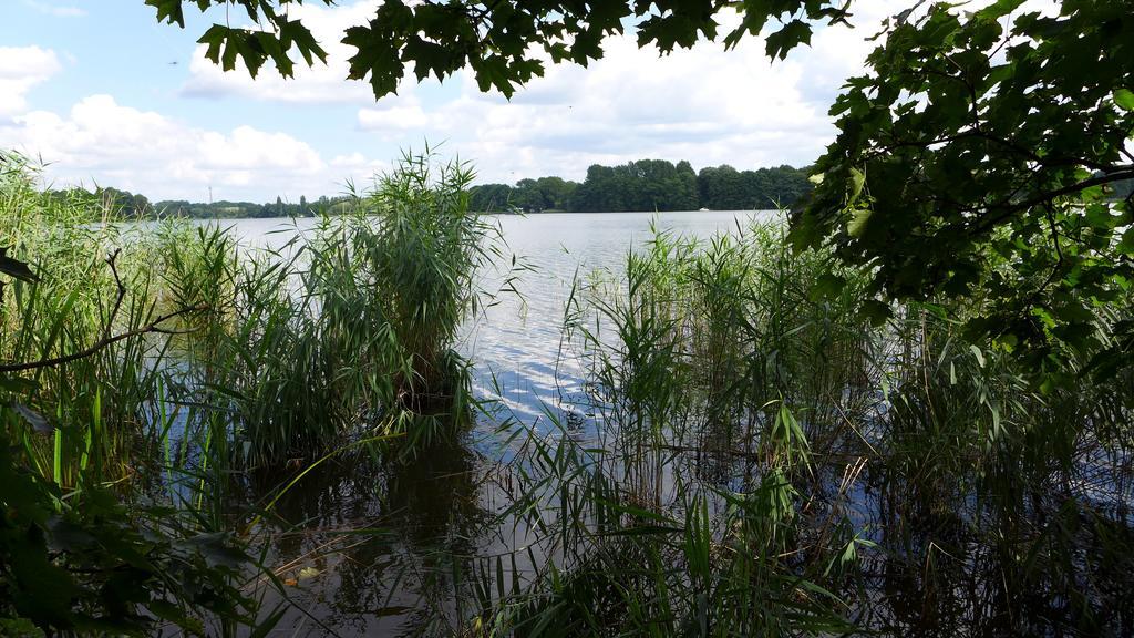Ferienhaus Natura Neuruppin Oda fotoğraf