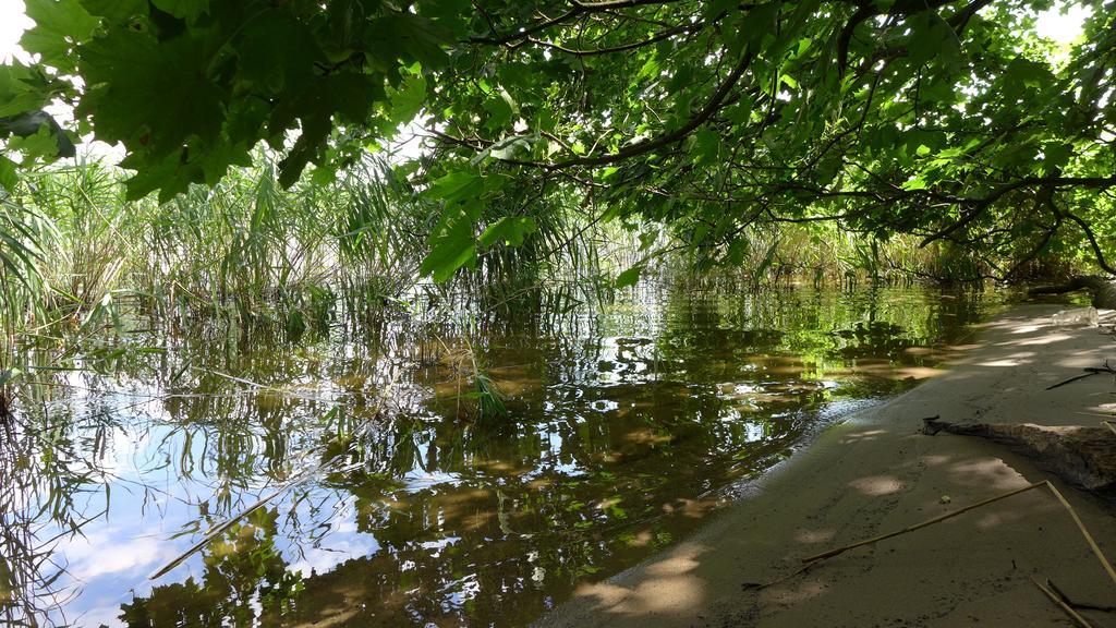 Ferienhaus Natura Neuruppin Oda fotoğraf