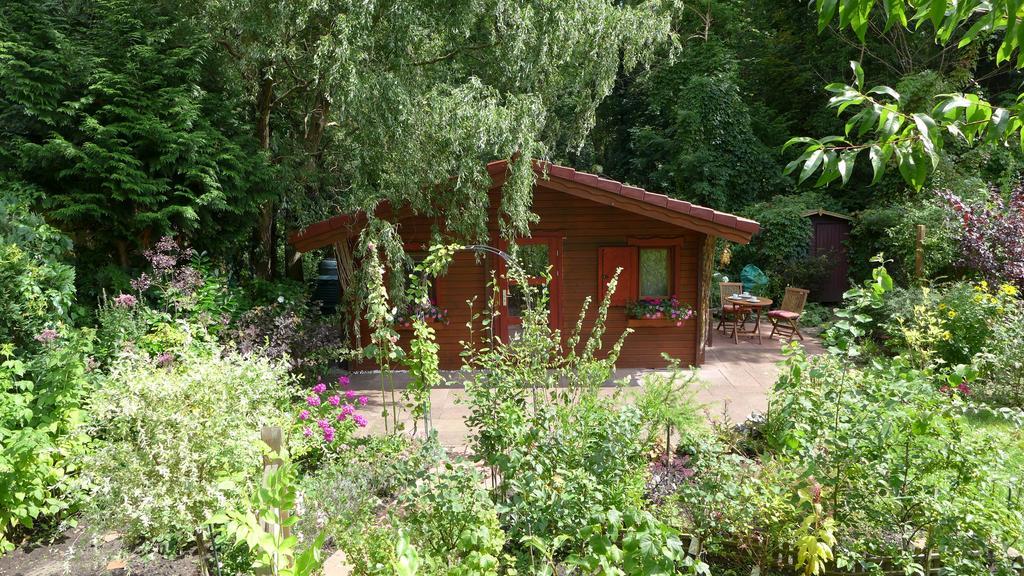 Ferienhaus Natura Neuruppin Oda fotoğraf